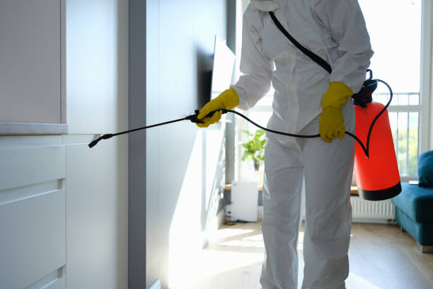 Best Home Mold Removal  in Lowellville, OH