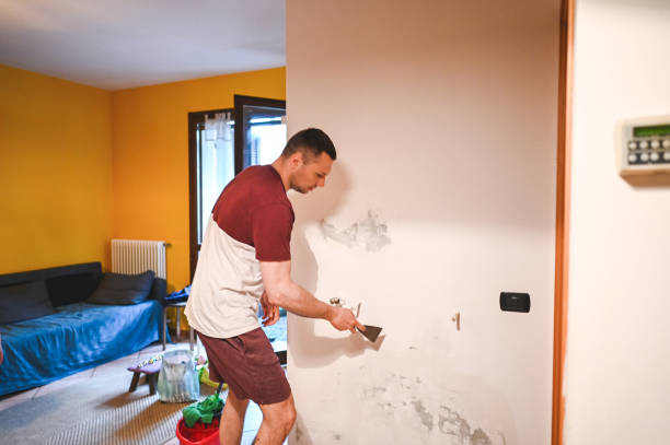 Best Commercial Mold Removal  in Lowellville, OH